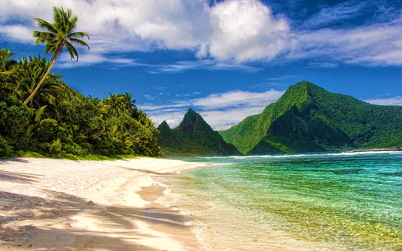 American Samoa, beach, paradise, ocean, USA, beautiful nature, America, palms, HD wallpaper