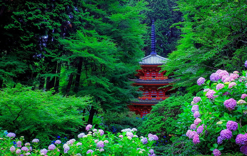 Japanese garden, forest, exotic, hydrangea, japan, greenery, park, pagoda, flowers, garden, HD wallpaper