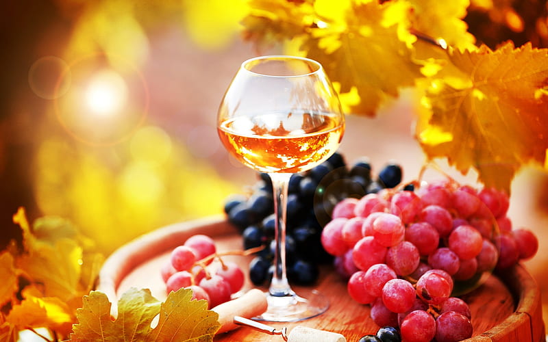 white wine, grapes, autumn, glass of wine, wine, HD wallpaper