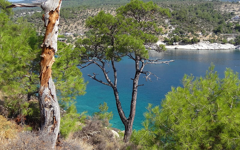 Nice Meditarian Sea 1, greece, beach, sun, water, nature, trees, coast, sea, HD wallpaper