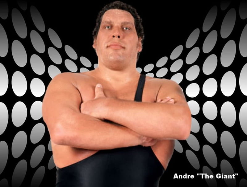 Andre The Giant, wwf, wwe, andre, HD wallpaper