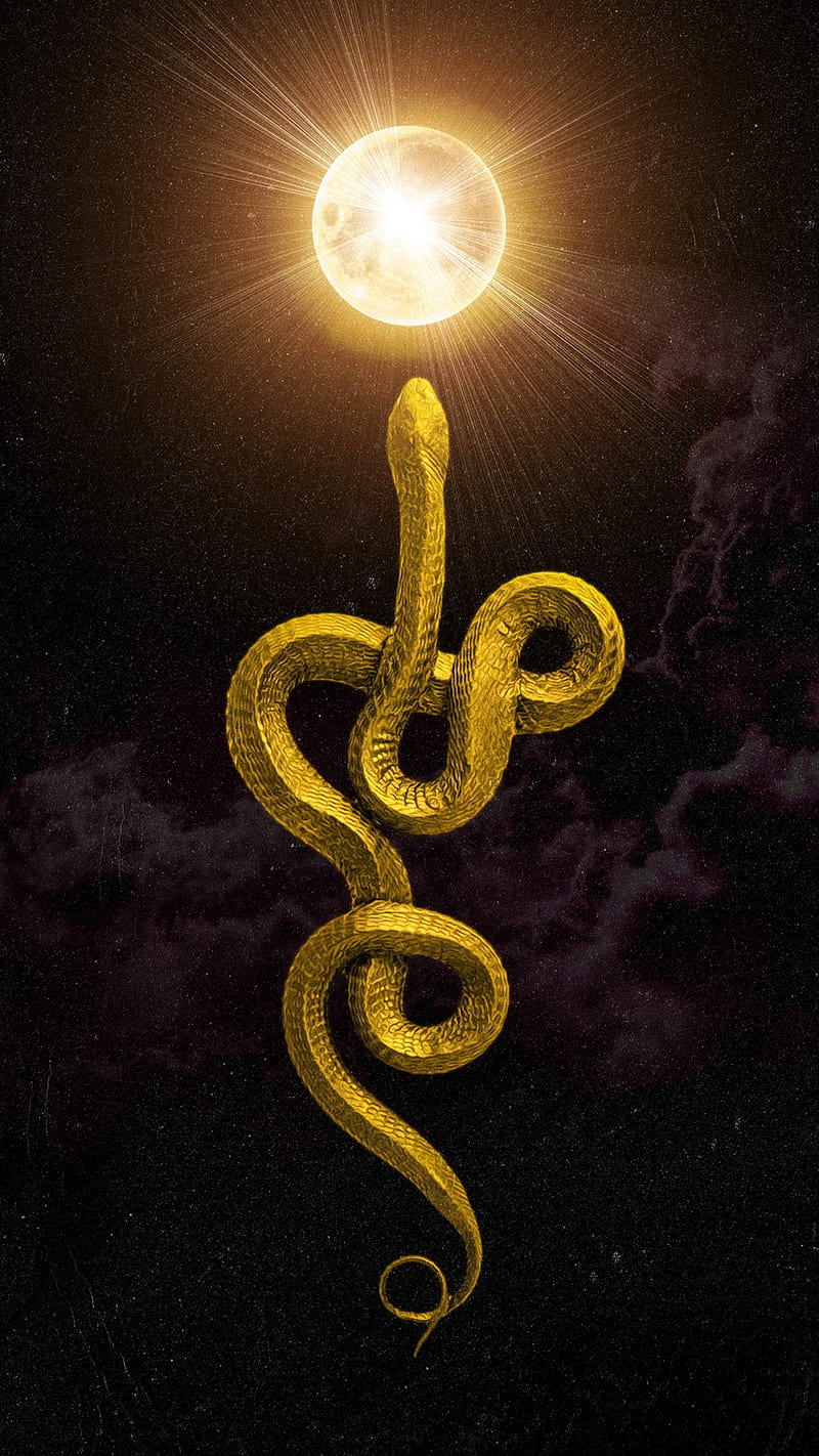 Golden snake, animal, fantasy, goden, light, moon, poison, snake, HD phone wallpaper