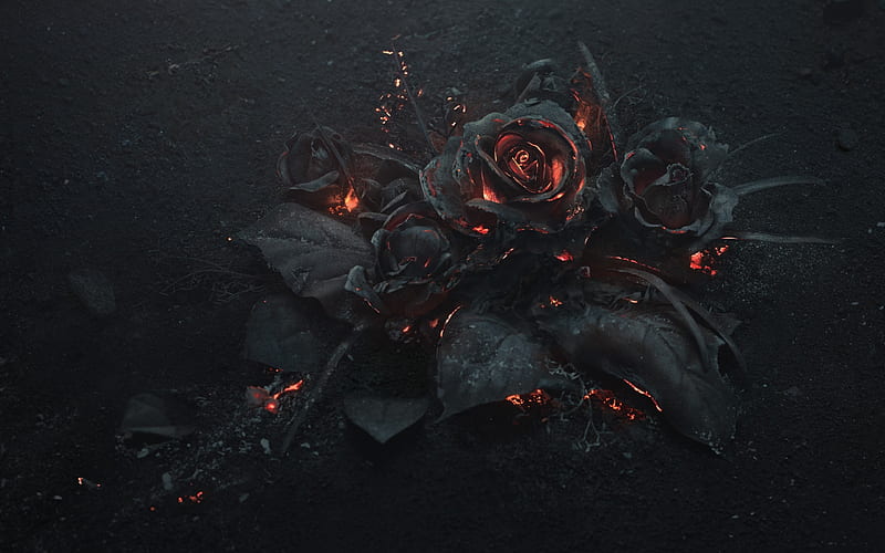 Burning roses, trandafir, fire, burn, fantasy, rose, ash, flower, black, HD wallpaper
