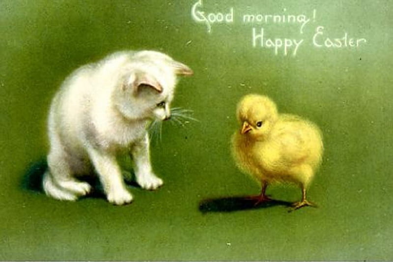 Vintage Easter Post Card, Post card, chick, cats, animals, vintage, HD  wallpaper | Peakpx