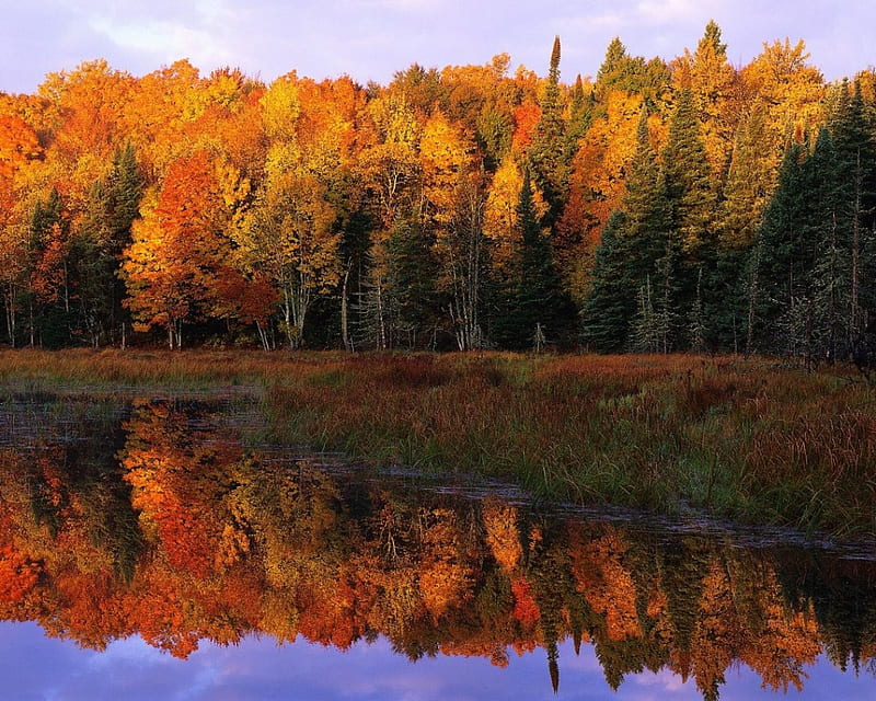 Lakeside Autumn In North Carolina, fall, leaves, colors, season, reflection, trees, HD wallpaper