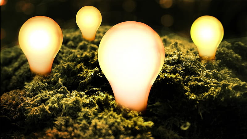 Bright Ideas, grass, 3d and cg, ideas, yellow, bonito, lights, incandescent lights, lightness, nice, fantasy, bright, art, efficient, lighting, brightness, lamps, abstract, efficiency, day, r, bulb, white, HD wallpaper