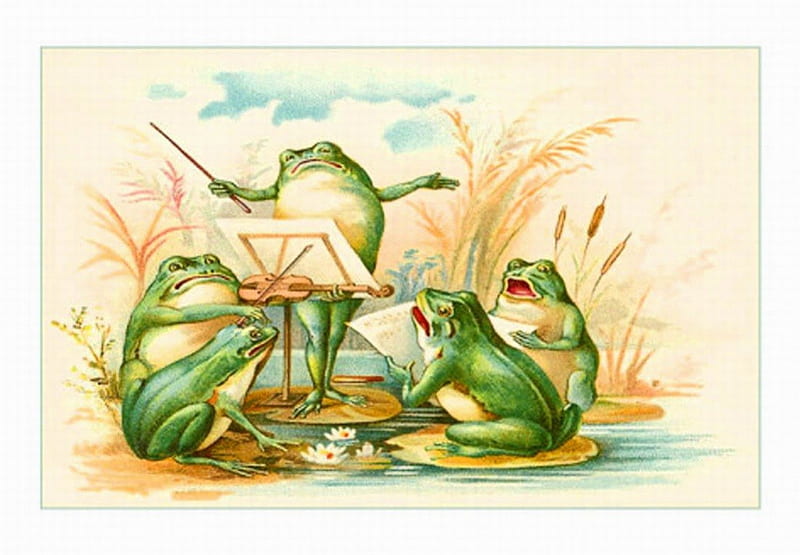 FROG CHOIR, frogs, illustration, cartoon, choir, HD wallpaper