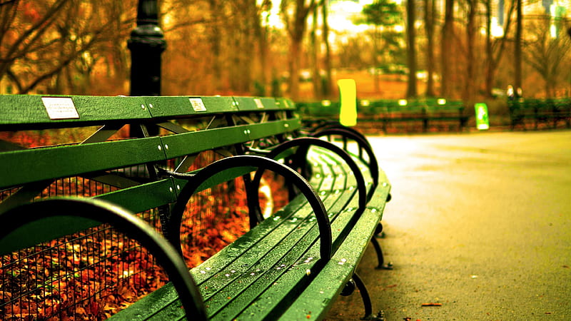 central park, new york, benches, HD wallpaper
