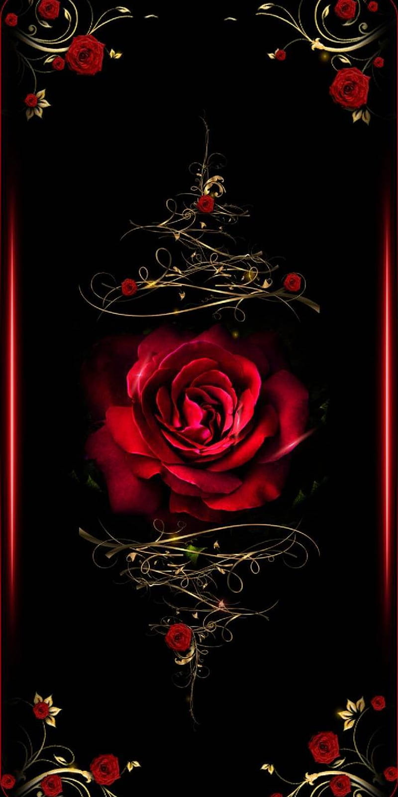 Rose, ted, flower, HD phone wallpaper