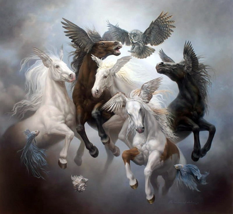 Fantasy horses, owl, wings, luminos, pasare, black, horse, cal, fantasy, bufnita, bird, johnny palacios hidalgo, white, HD wallpaper