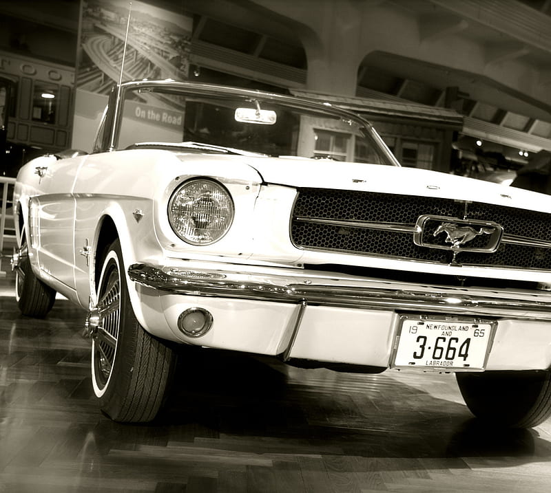 Ford Mustang 1967, carros, HD wallpaper Ford Mustang 1967, carros, HD wallpaper