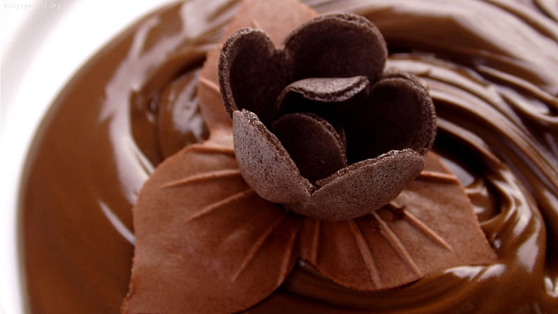 Chocolate Pudding, smooth, chocolate, pudding, sweet, HD wallpaper