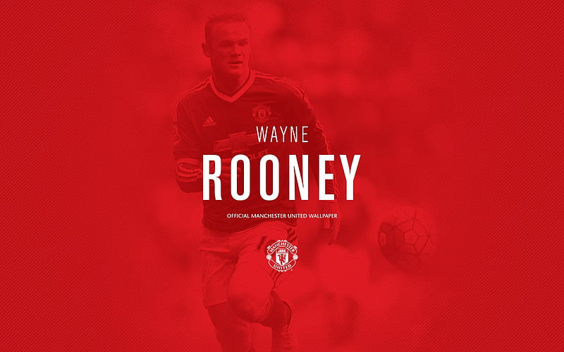 Wayne Rooney, 2016, footballer, red background, football stars Manchester United, HD wallpaper
