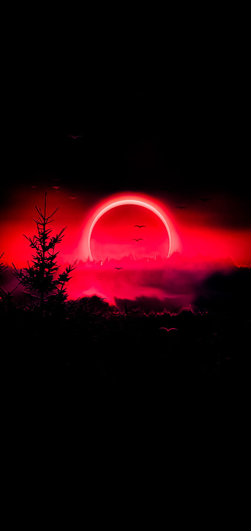 Free photo: Red Sky - Nature, Red, Sky - Free Download - Jooinn