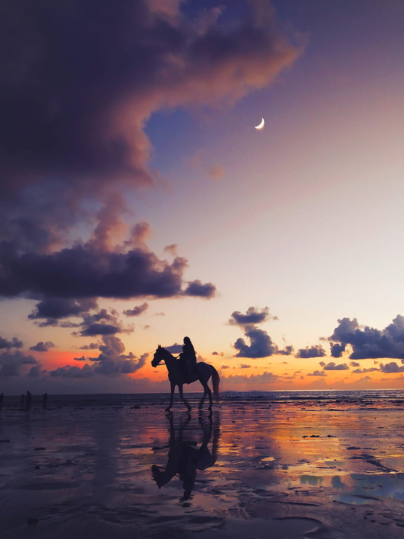Silhouette Of Person Riding On Horse, HD phone wallpaper