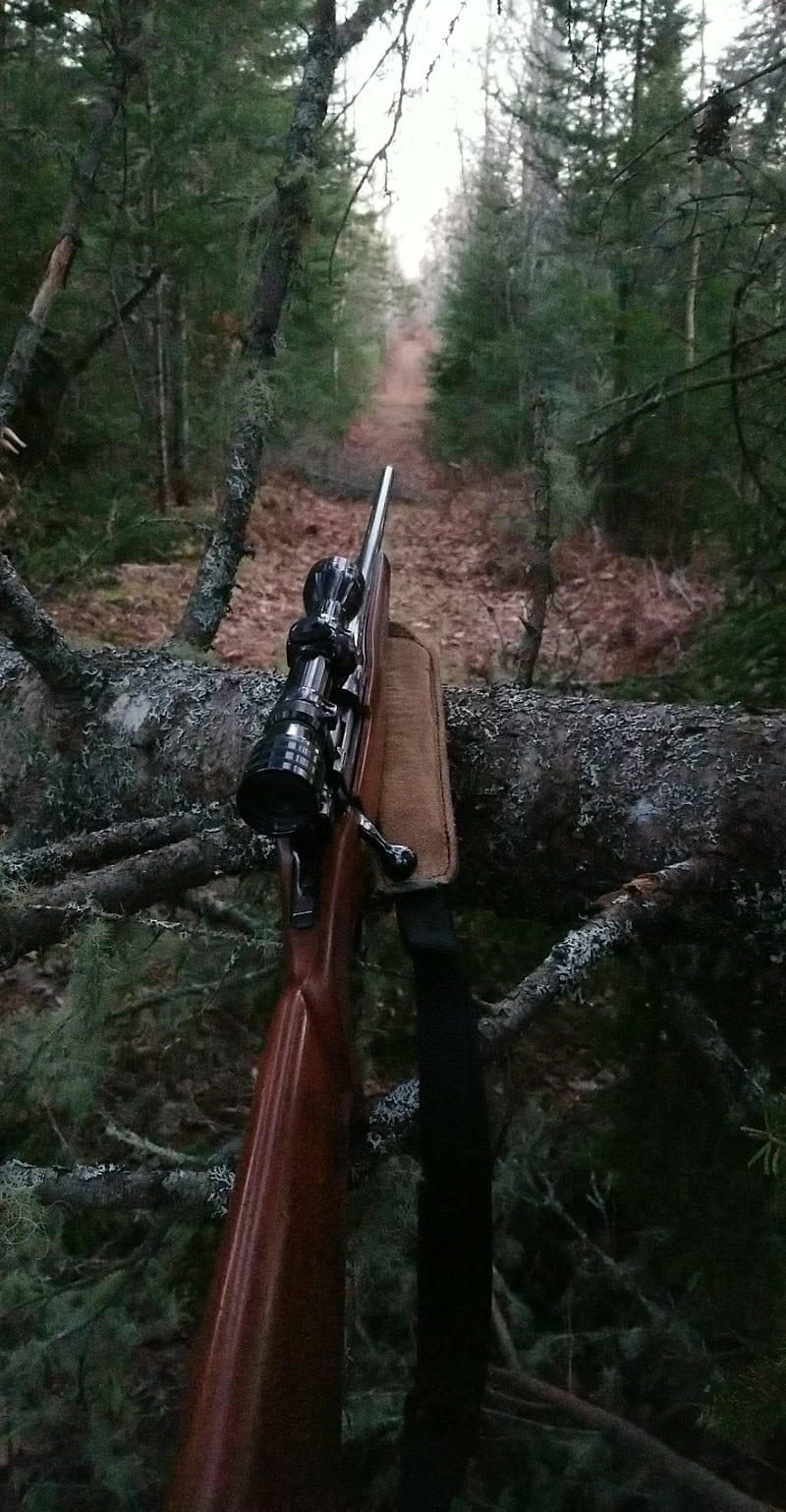 Down range, gun, hunting, rifle, woods, HD phone wallpaper
