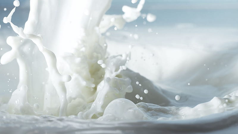 Closeup White Milk Spray Liquid White Background White Background, HD wallpaper