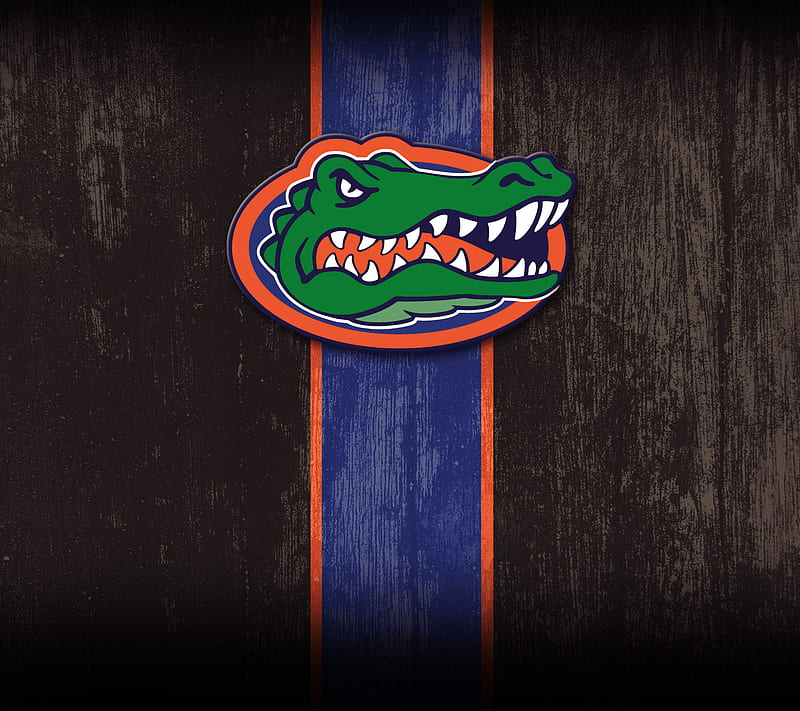 Florida Gators, college, sec, university, HD wallpaper