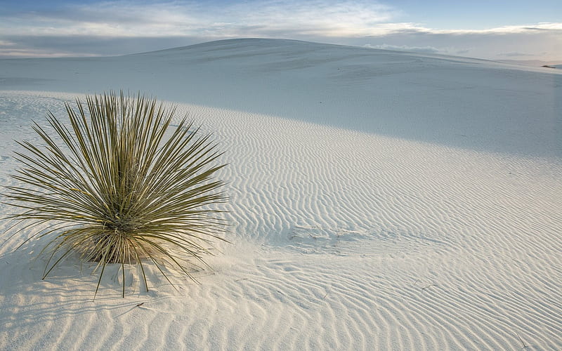desert, sand, sand dunes, USA, San Miguel, New Mexico, White Sands National Monument, HD wallpaper