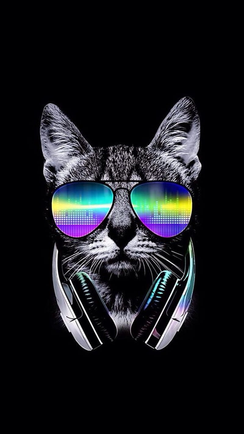 cat dj, cat, music, music, planet, sugar, skull, glasses, cool, HD phone wallpaper
