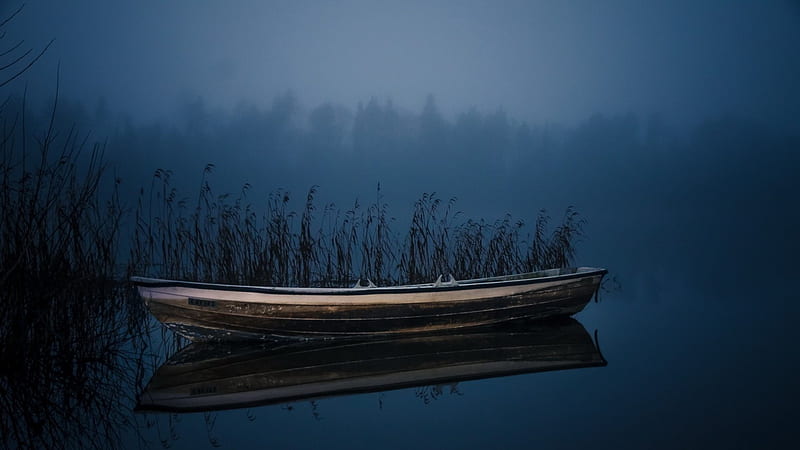 rowboat in weeds on a dark lake, rowboat, dark, weeds, lake, fog, HD wallpaper