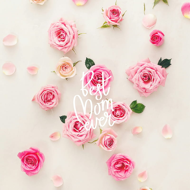 Best mom ever, anniversary, holiday, momma, mommy, mother, mum, mummy, pink, white, HD phone wallpaper