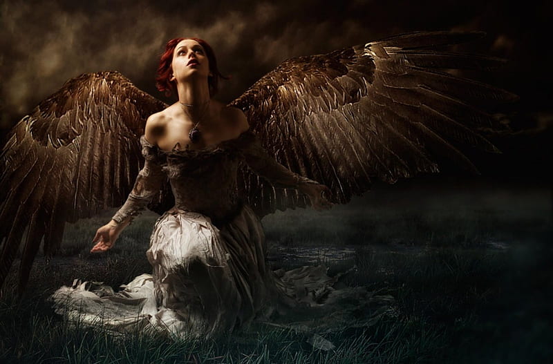 Noble Lejos seguro ángel caído, alas, ángel, mujer, ala, ángeles, Fondo de pantalla HD | Peakpx