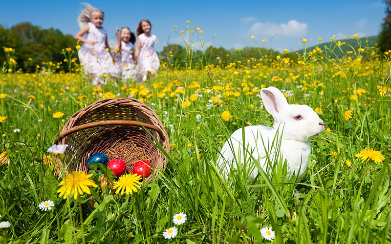 Easter, grass, children, yellow, clouds, flowers, child, holiday, sky, joy, trees, colored eggs, happy, rodents, lovely beautiful, happy easter, white, daisy, landscape, field, red, colorful, sweet cute, bonito, egg, dandelion, green, yellow flowers, white rabbit, girls, blue, animals, rabbit, wild flowers, easter eggs, colors, spring, fun, daisies, girl, basket, eggs, nature, bunny, HD wallpaper