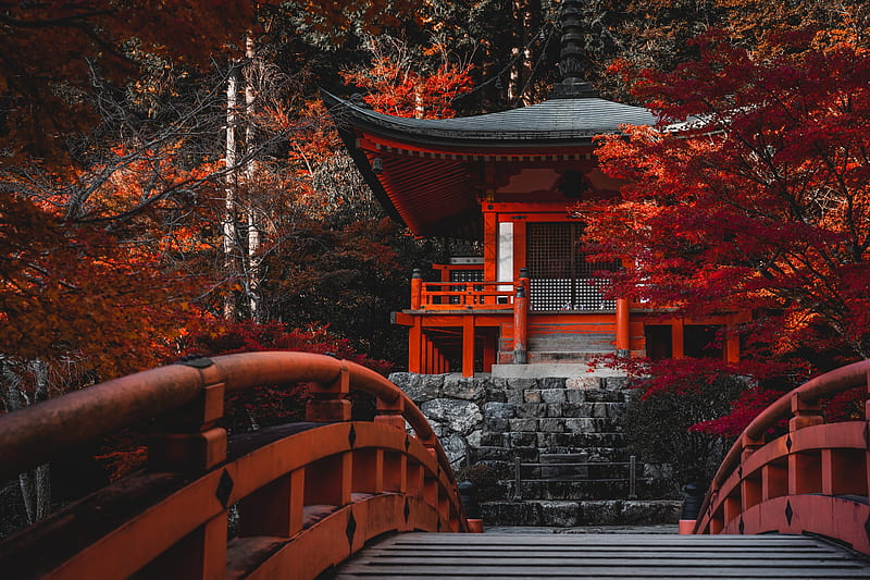 Temples, Daigo-ji, Bridge, japan, Kyoto, Temple, HD wallpaper