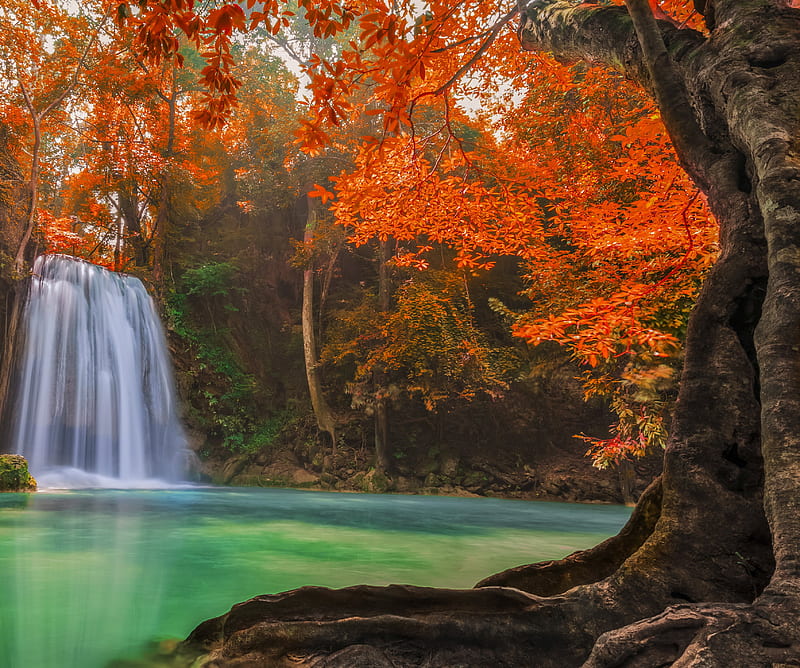 Thailand Autumn, forest, lake, leaves, nature, river, trees, waterfall, HD  wallpaper | Peakpx