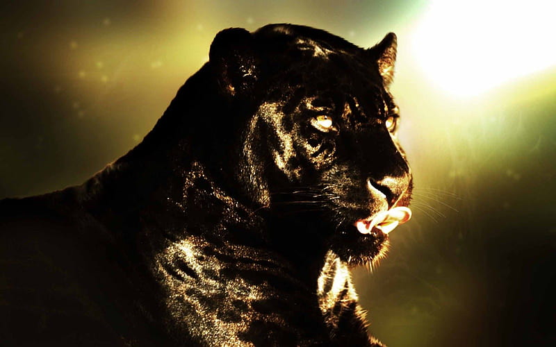 Toma. twined Panther from Destinies Children. twined to a Mayan girl, Morielle. Together, they. Animal , Black panther , Black panther, Black Jaguar, HD wallpaper