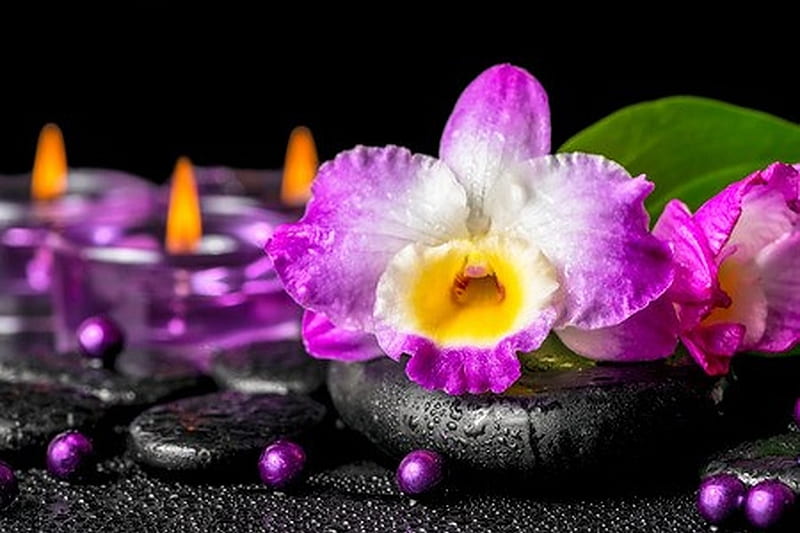 Zen stones with drops, Closeup, Candles, Beads, Orchids, Stones, HD wallpaper