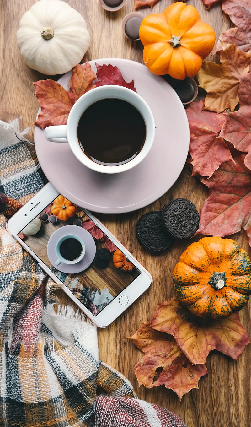 coffee, phone, pumpkin, autumn, HD phone wallpaper