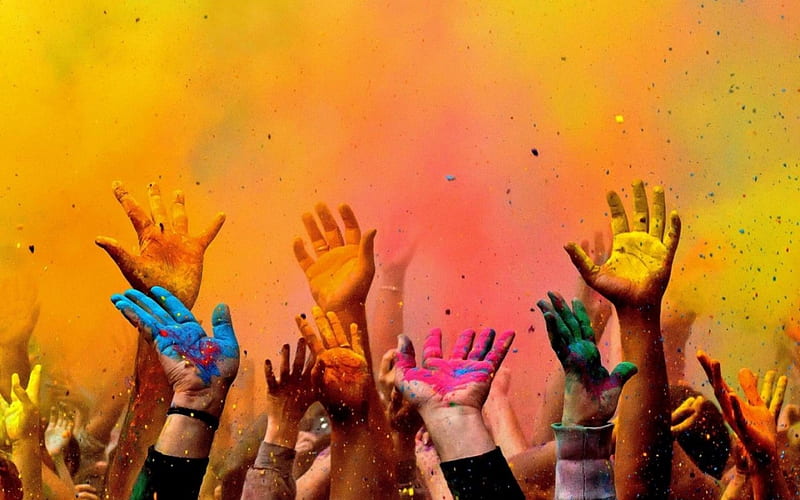 Holi, festival, color, India, HD wallpaper