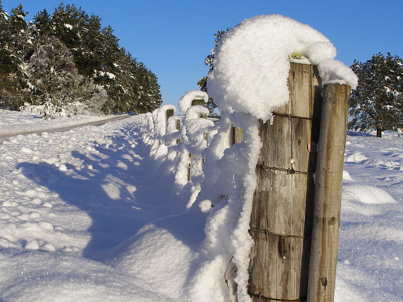 Snow blasted fence posts, fence, snow, fenceposts, posts, graphs, winter, frost, HD wallpaper