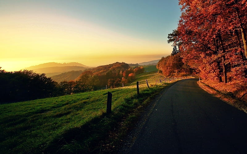 Roadside Scenary, nature, sunset, roads, trees, HD wallpaper