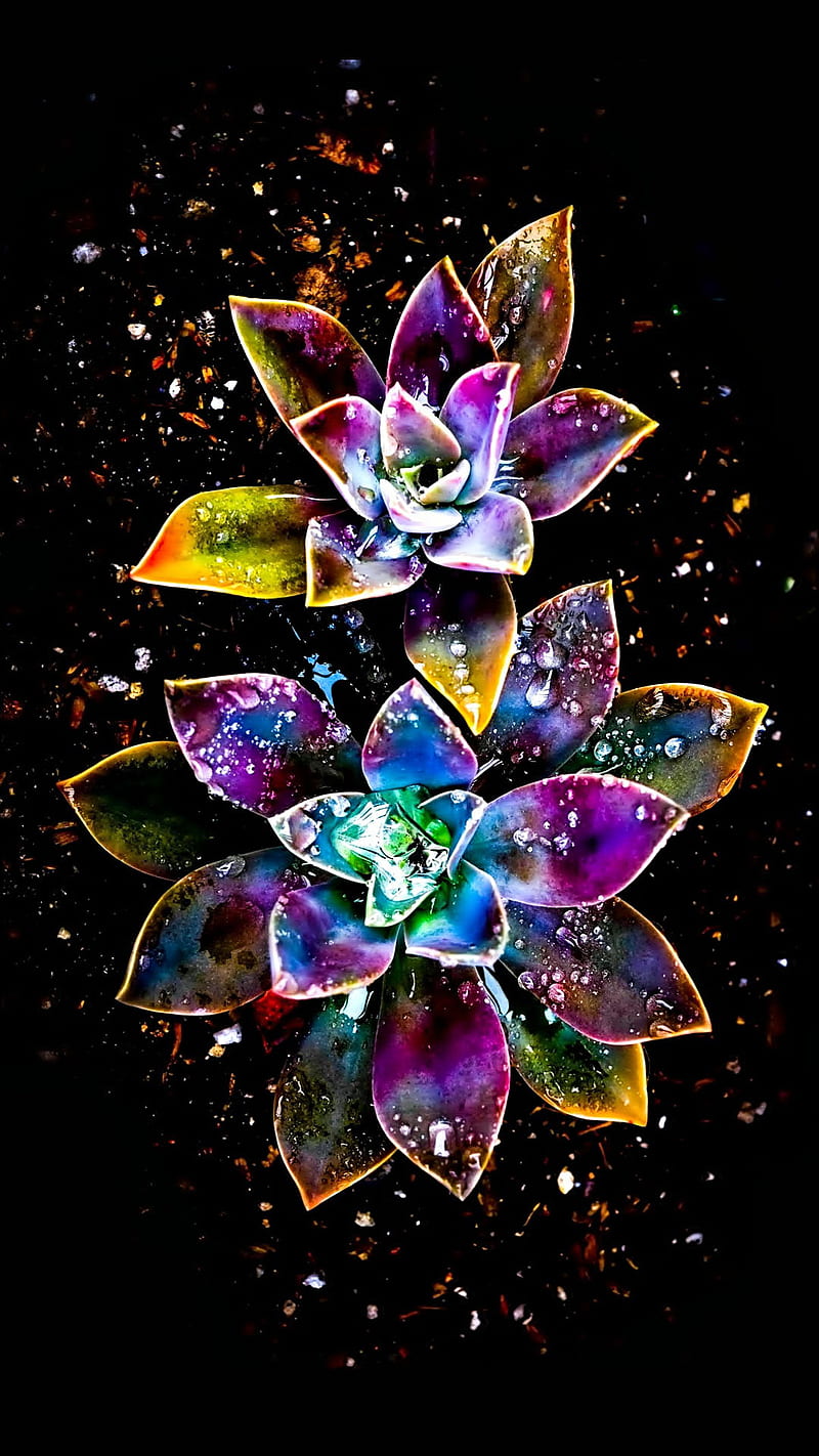 abstract flowers, abstract, colorful, desenho, flower, nature, sparkle, HD phone wallpaper