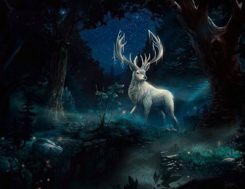 'Enchanted forest'....., magical, mystical, elk, enchanted, HD wallpaper