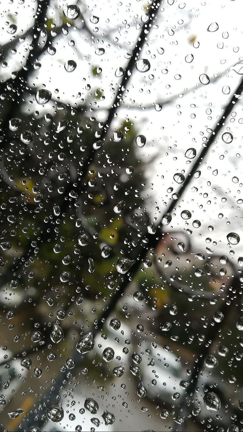 rain, coldrain, HD phone wallpaper