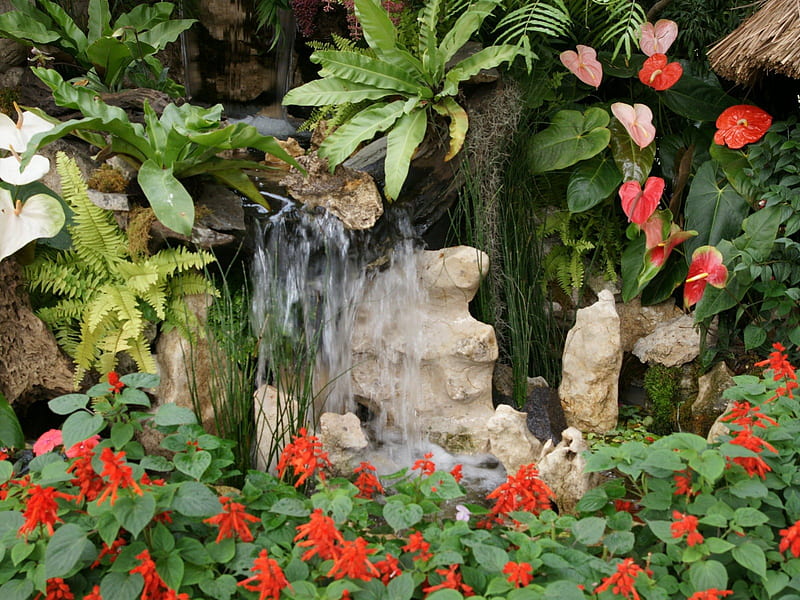 Tropical Flower Garden, waterfall, garden, ferns, tropical flowers, HD wallpaper