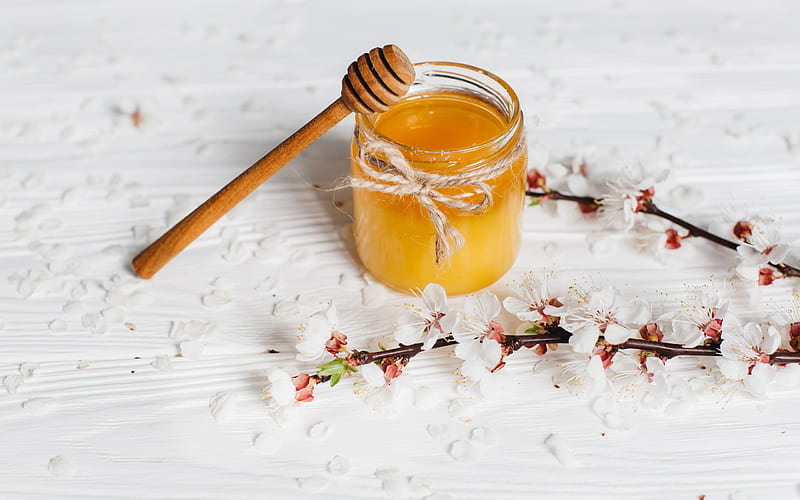 honey, sweets, honey jar, spring, spring flowers, HD wallpaper