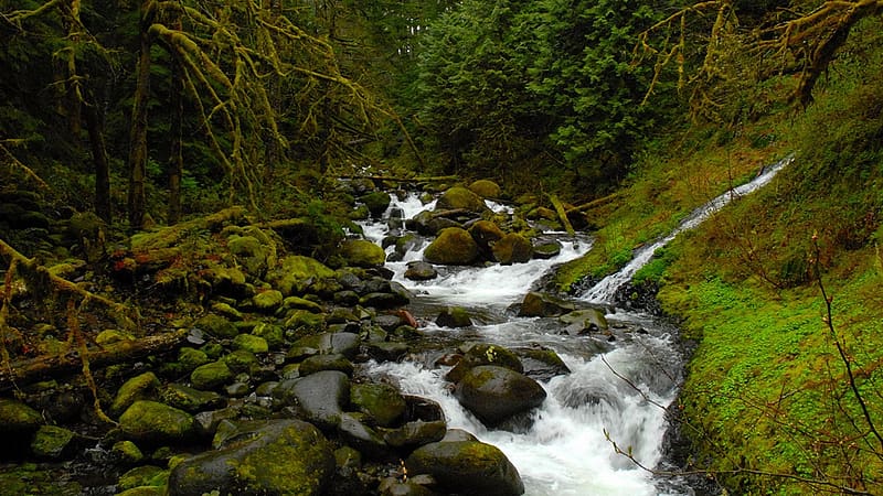 Columbia River Tributary, Columbia River Gorge state park, Oregon, landscape, water, rocks, usa, trees, HD wallpaper