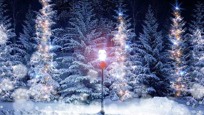 Shine By Lamplight, Christmas, lamp, Feliz Navidad, shine, winter, snow, lamp post, light, blue, HD wallpaper