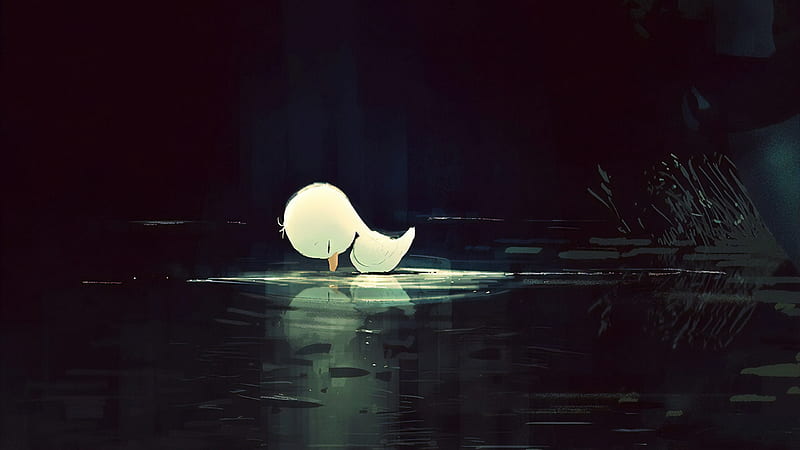 Lost Again Bird, duck, bird, artist, artwork, digital-art, HD wallpaper