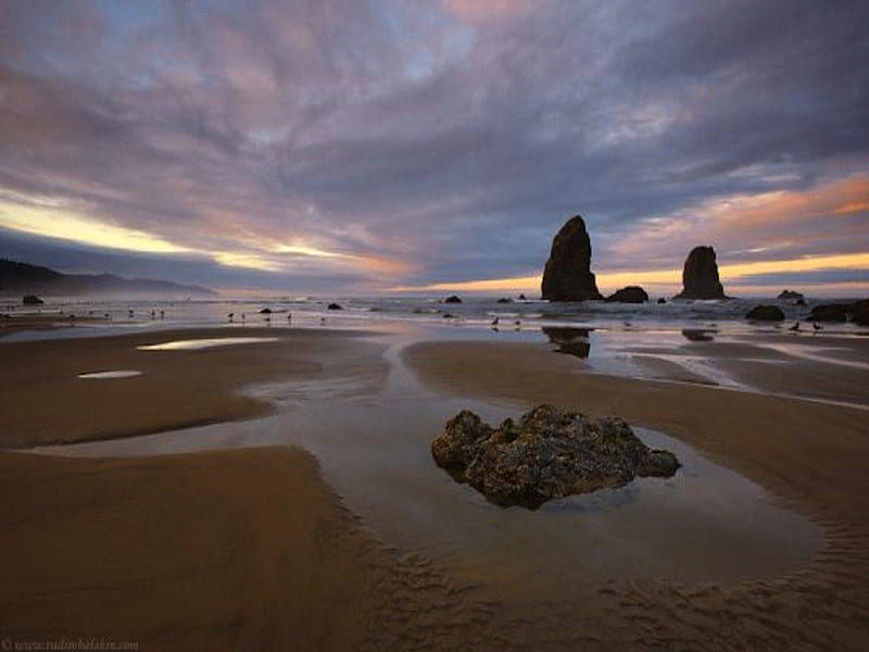 Sunrise at Cannon Beach, Oregon, beach, oregon, sun, ocean, northwest, pacific, sunrise, HD wallpaper
