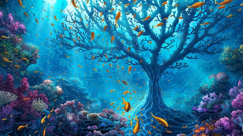 Underwater World, underwater, world, nature, fish, HD wallpaper