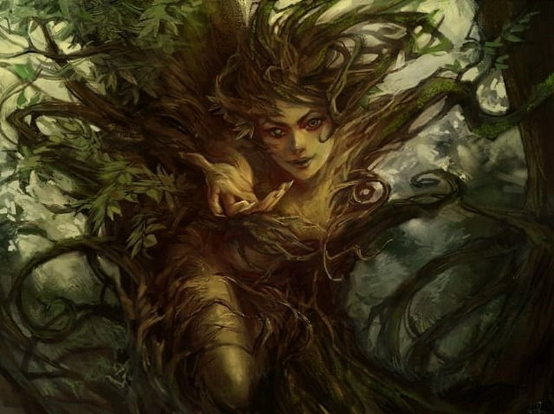 Tree nymph, dryad, reaches, forest, dweller, HD wallpaper