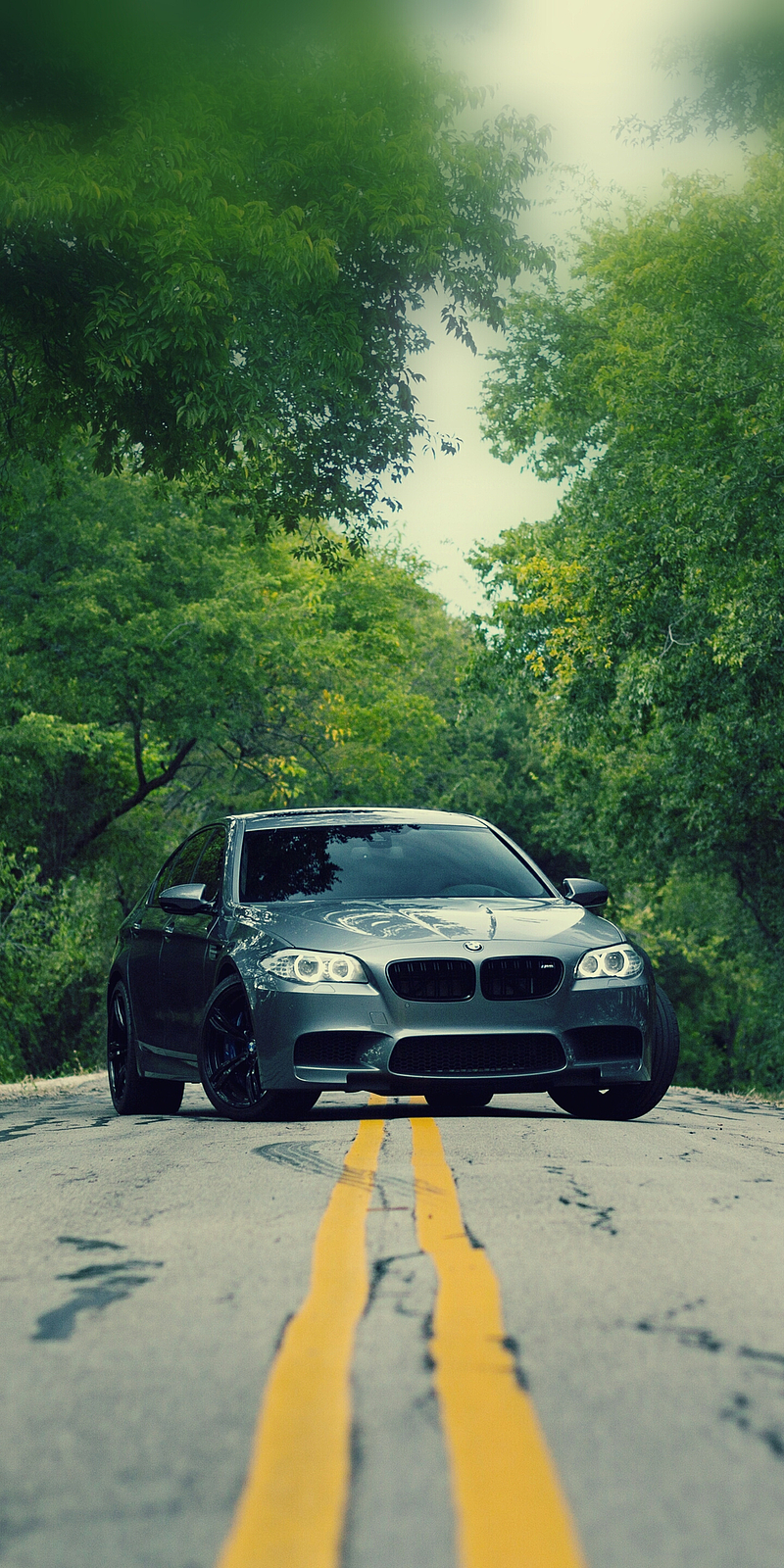 BMW M5, car, f10, gray, m power, road, sedan, trees, vehicle, HD phone wallpaper