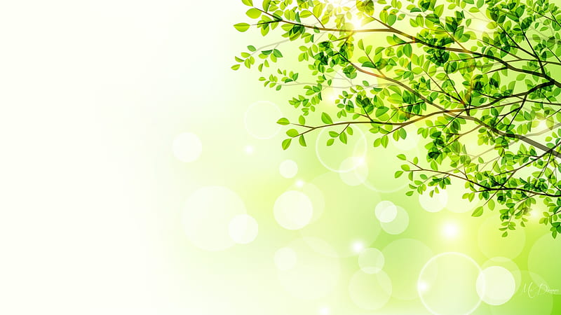 Spring Foliage, tree, leaves, bokeh, green, fresh, spring, Firefox Persona theme, HD wallpaper