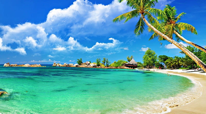 Awesome tropical beach, beach, seashore summer, nature, tropical, landscape, scene, HD wallpaper